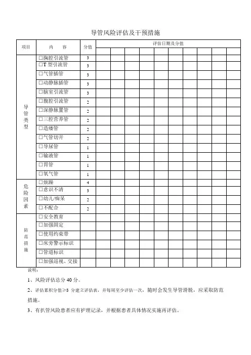 导管风险评估及干预措施 Microsoft Word 文档