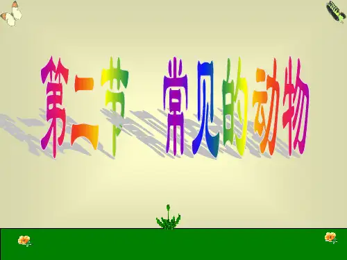 第二节常见的动物(脊椎动物)PPT课件(初中科学)