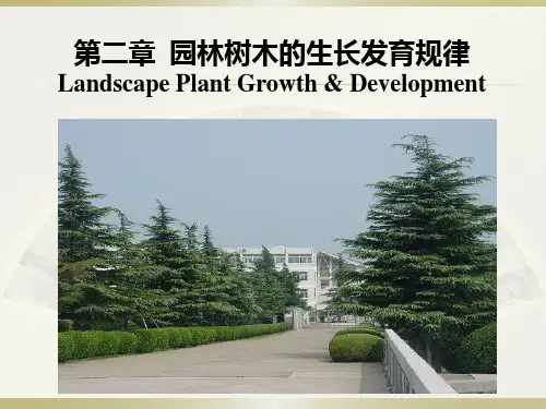 植物学课件：第二章  园林树木的生长发育规律