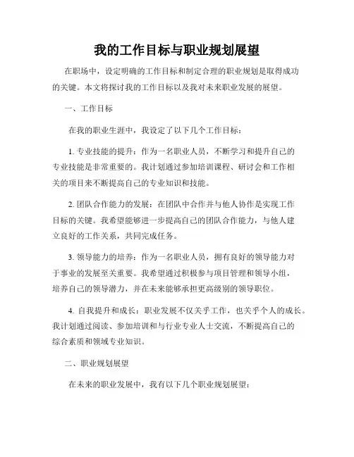 我的工作目标与职业规划展望