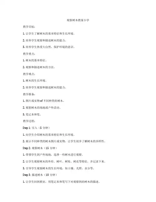 观察树木教案小学