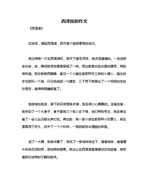 西津度的作文