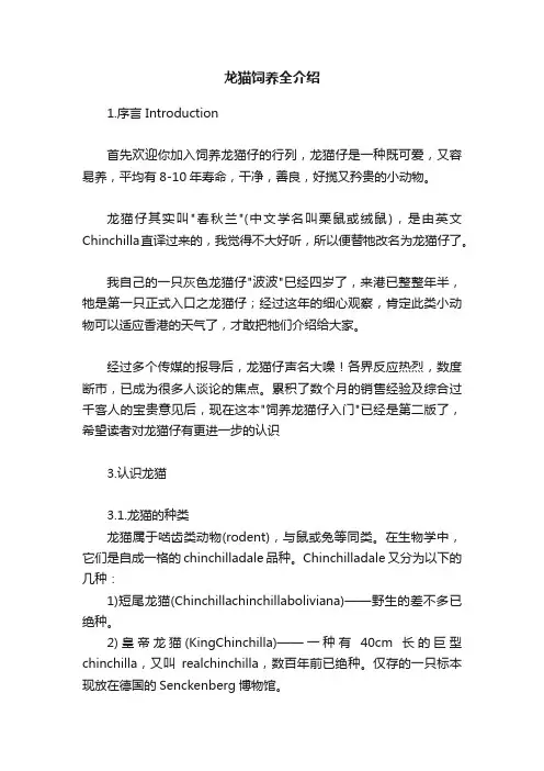 龙猫饲养全介绍