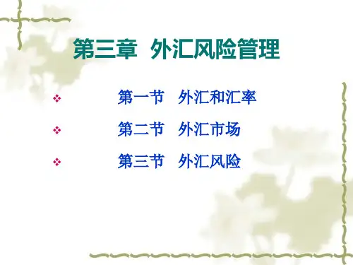 第三章外汇风险管理PPT课件