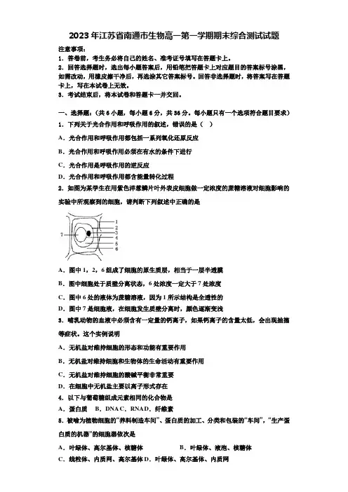 2023年江苏省南通巿生物高一第一学期期末综合测试试题含解析