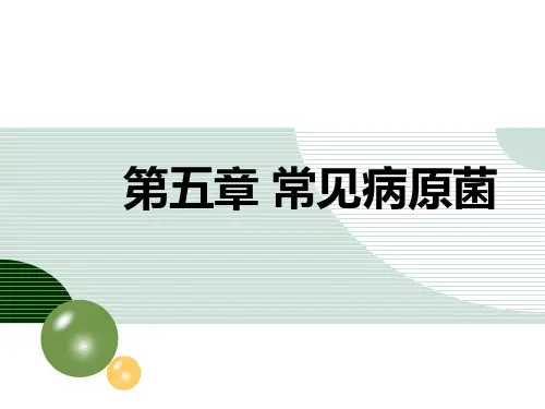 病原微生物与免疫学 第五章 常见病原菌PPT课件
