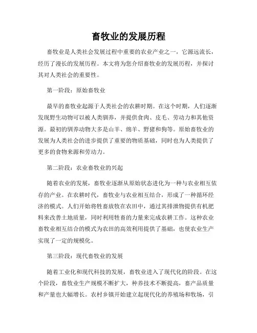 畜牧业的发展历程