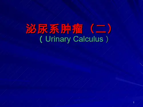 医学影像学(7.7.1)--肾盂、输尿管、膀胱肿瘤、肾母细胞瘤的影像诊断