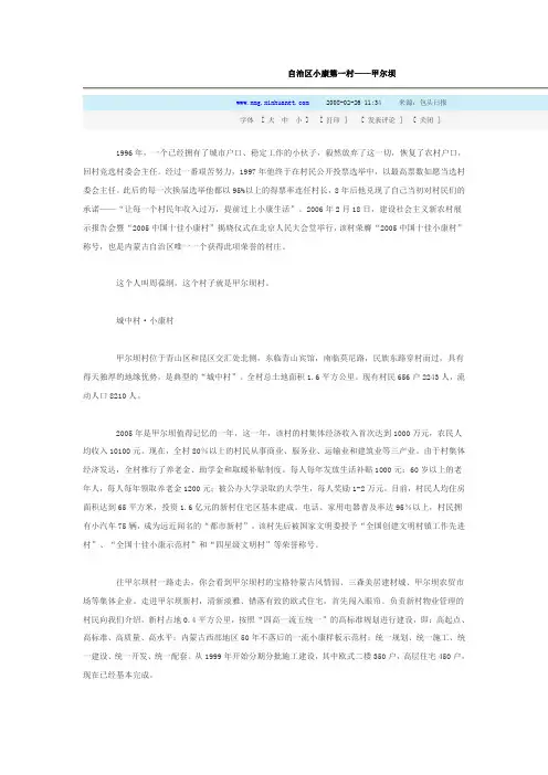 自治区小康第一村