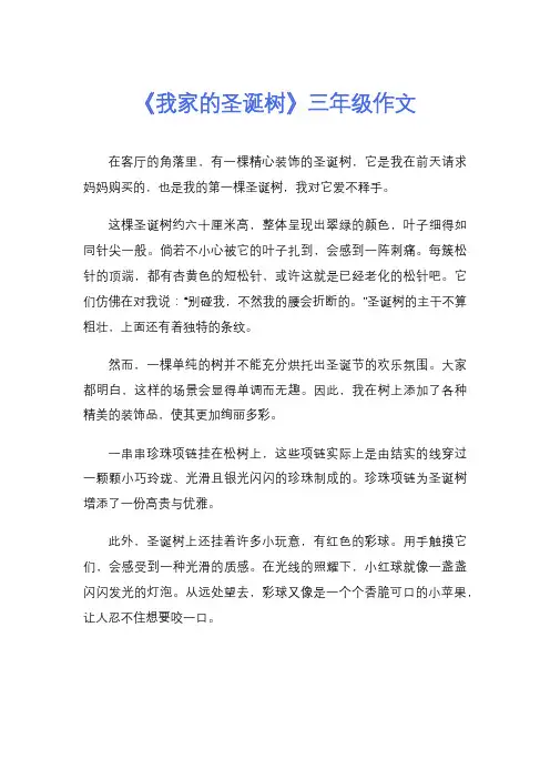 《我家的圣诞树》三年级作文