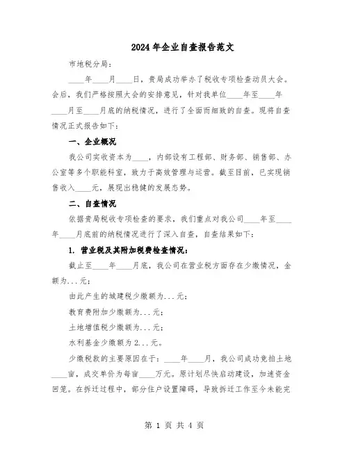 2024年企业自查报告范文（二篇）