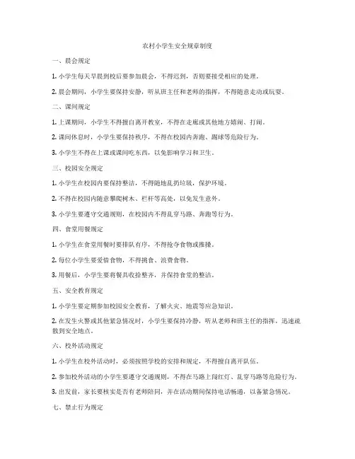 农村小学生安全规章制度