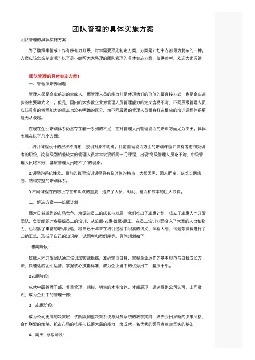 团队管理的具体实施方案