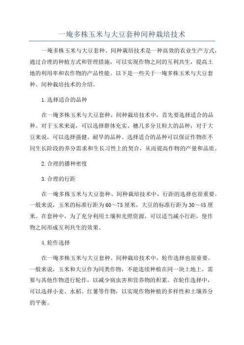 一埯多株玉米与大豆套种间种栽培技术