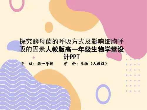 探究酵母菌的呼吸方式及影响细胞呼吸的因素人教版高一年级生物学堂设计PPT