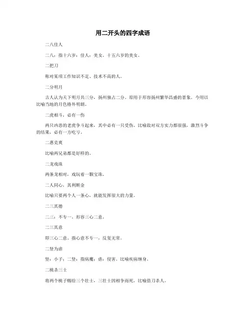 用二开头的四字成语