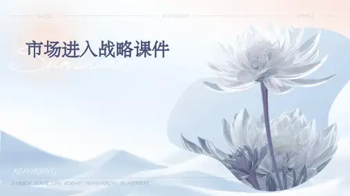 市场进入战略课件