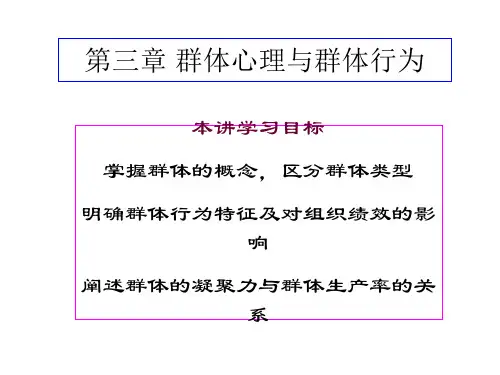 群体心理与群体行为PPT课件