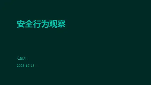 安全行为观察