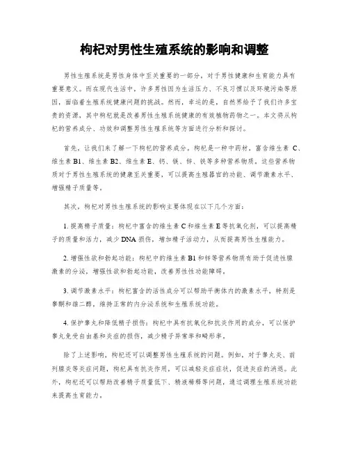 枸杞对男性生殖系统的影响和调整
