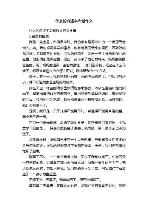 什么的自述半命题作文