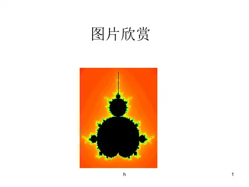 《分形艺术作品欣赏》PPT课件