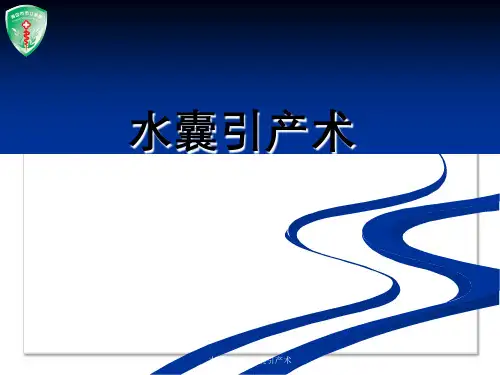 水囊引产术水囊引产术