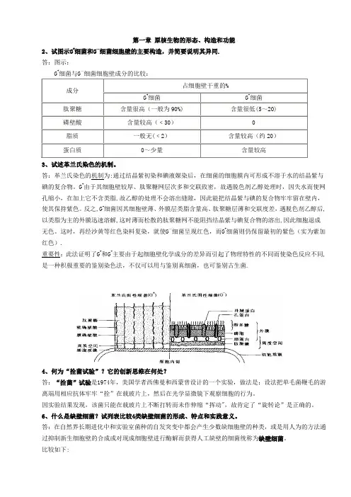 微生物复习