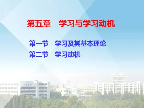 学习与学习动机PPT课件