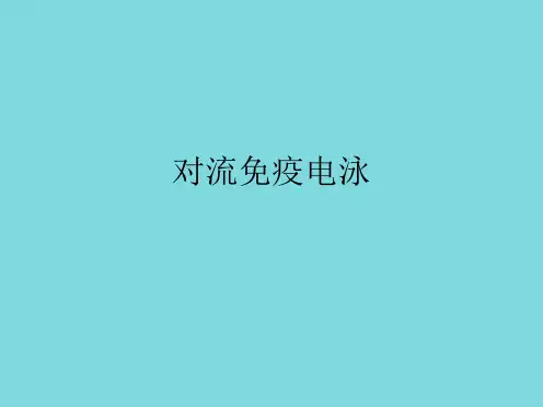 对流免疫电泳(共8张PPT)