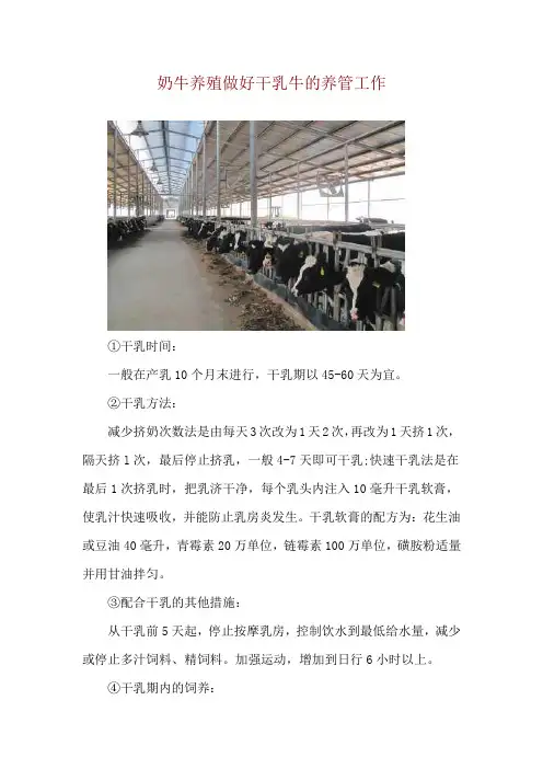 奶牛养殖做好干乳牛的养管工作