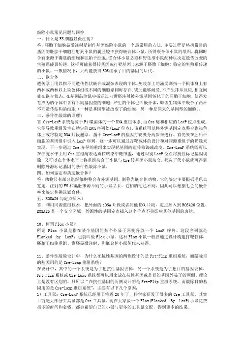 敲除小鼠常见问题与回答