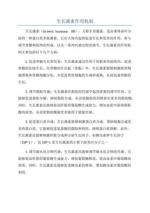 生长激素作用机制