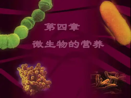 微生物学：第四章微生物的营养与培养基