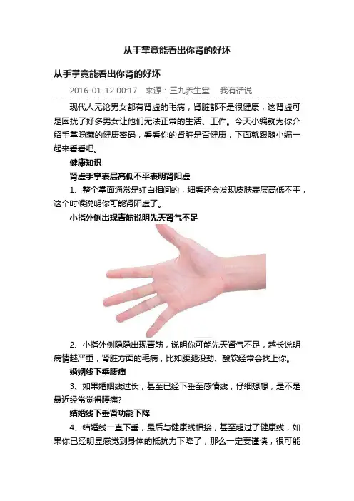 从手掌竟能看出你肾的好坏
