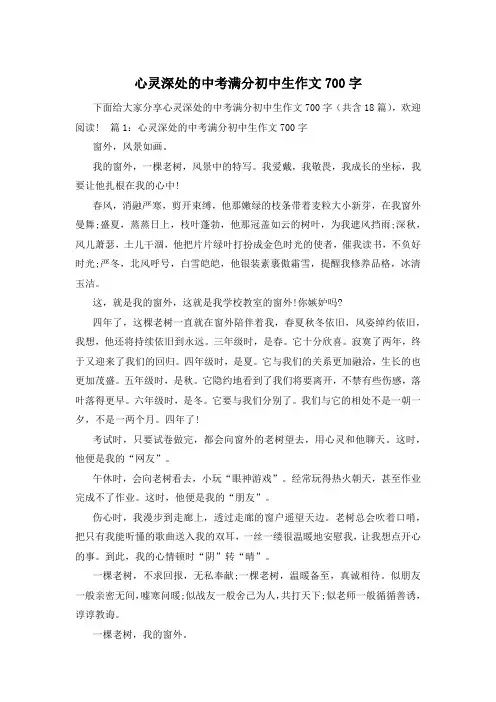 心灵深处的中考满分初中生作文700字