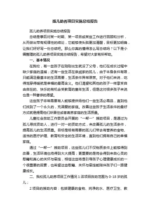 孤儿助养项目实施总结报告