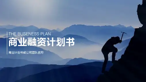 动态蓝色高端创业融资计划书ppt通用模板