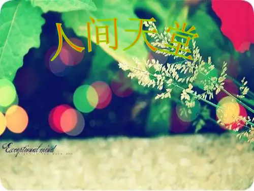 杭州商务旅游城市PPT课件