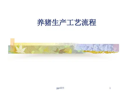 猪生产学_养猪生产工艺流程图  ppt课件