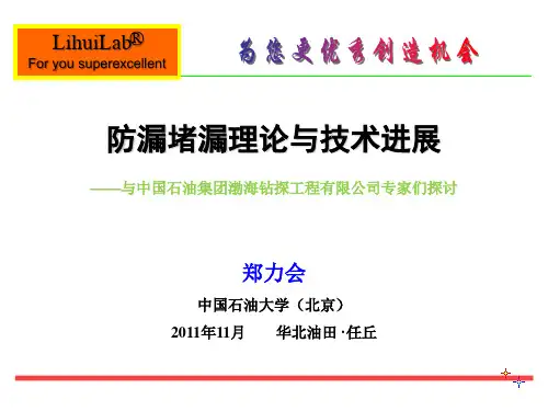 防漏堵漏理论与技术进展
