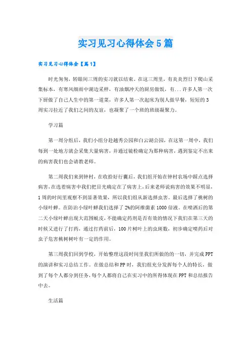 实习见习心得体会5篇