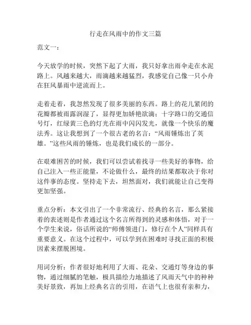 行走在风雨中的作文三篇