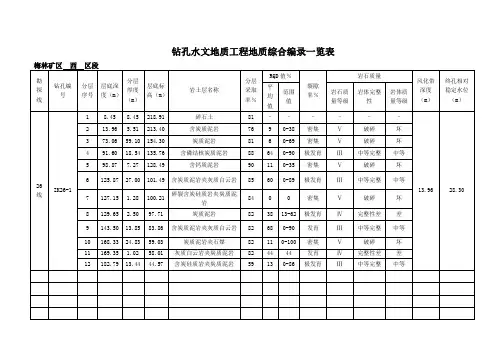 钻孔水文地质工程地质综合编录一览表模板