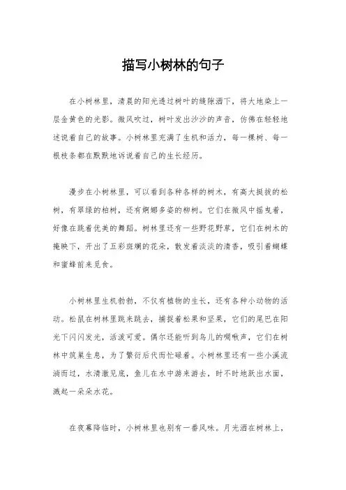 描写小树林的句子