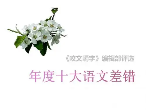 高中 高考专项复习 年度十大语文差错