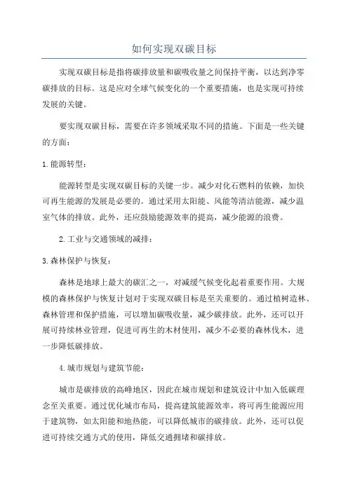 如何实现双碳目标