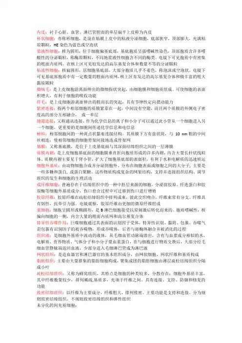 组织胚胎学—名词解释