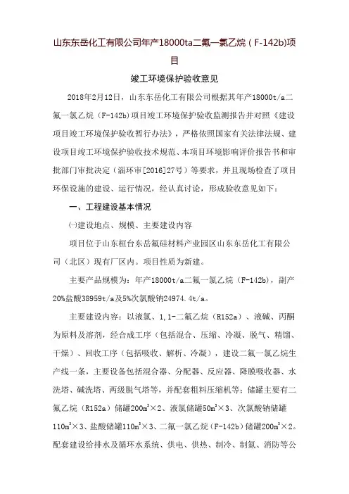 项目竣工环境保护验收意见-山东东岳集团