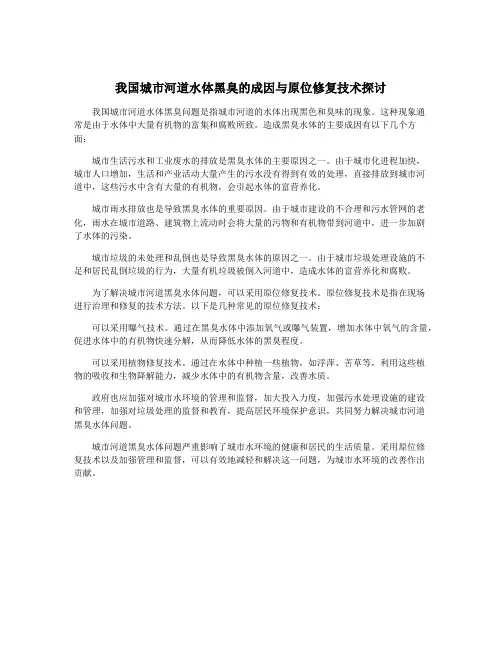 我国城市河道水体黑臭的成因与原位修复技术探讨